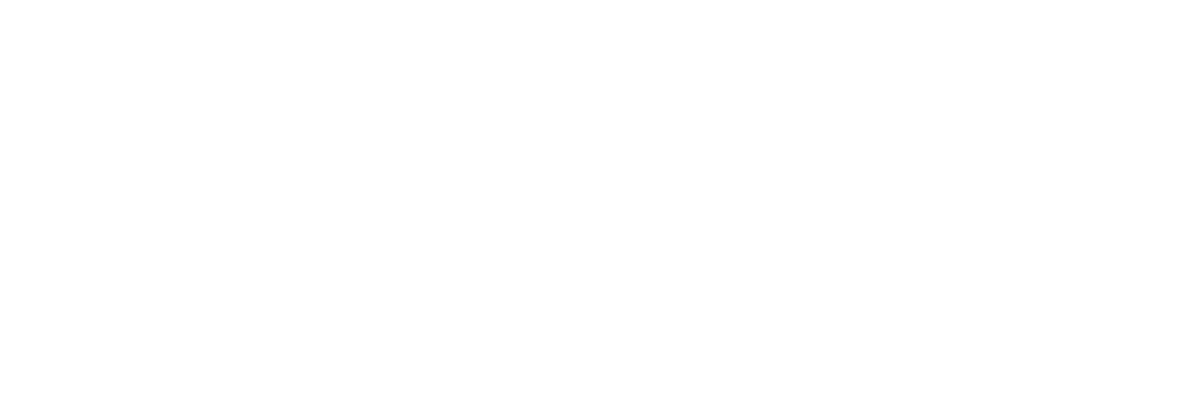 Dinisa Insurance